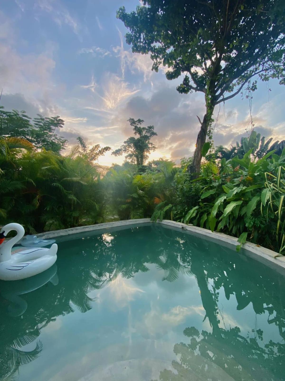 Bungalows India, El Valle, Samana Eksteriør bilde