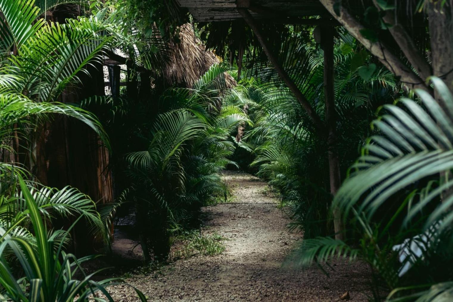 Bungalows India, El Valle, Samana Eksteriør bilde